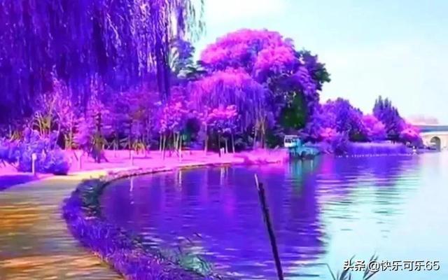 火遍全国的景区,即将在佛山开业!提前剧透玩法→